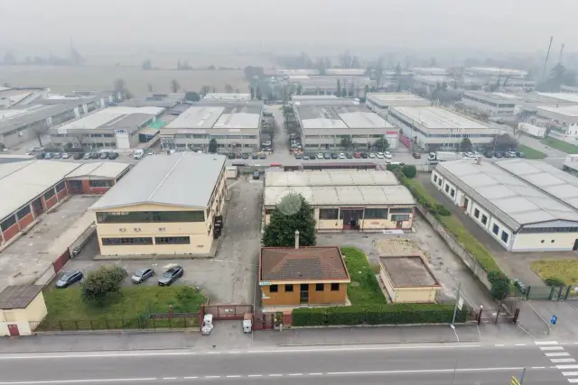 insertion image