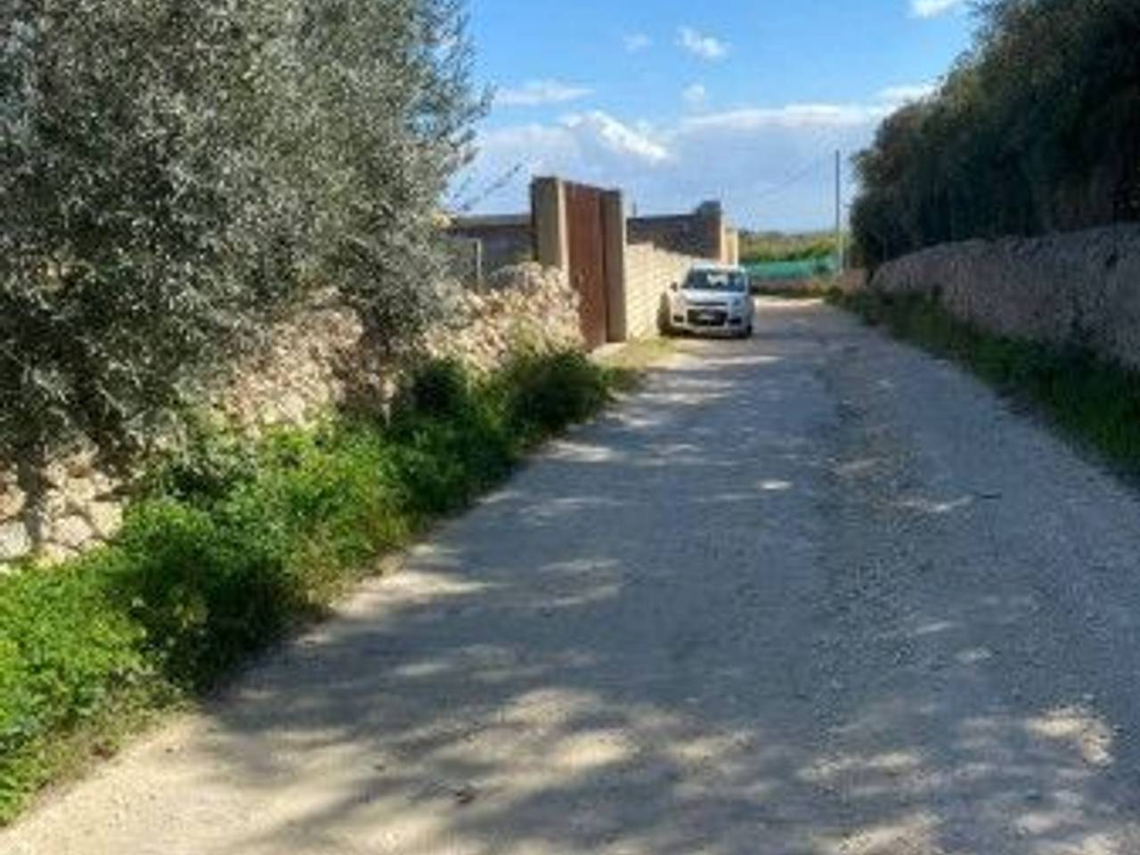 immagine annuncio 1 di 11