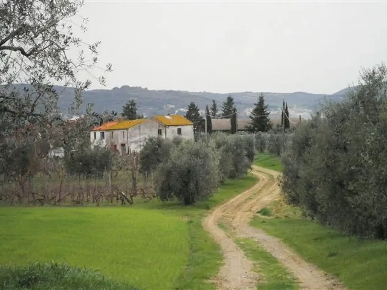 Azienda agricola in , Rosignano Marittimo, {3} - Foto 2