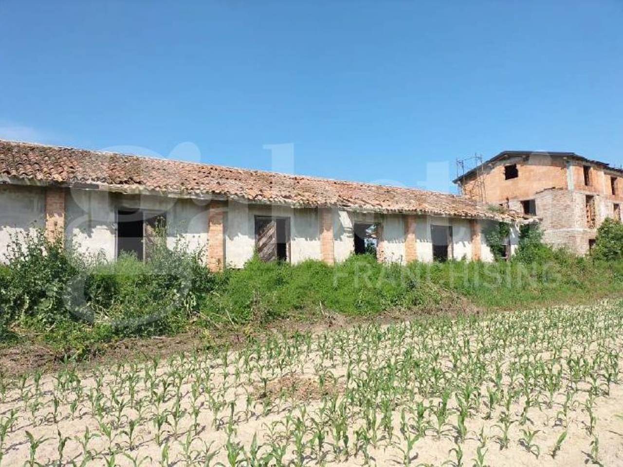 immagine annuncio 11 di 13