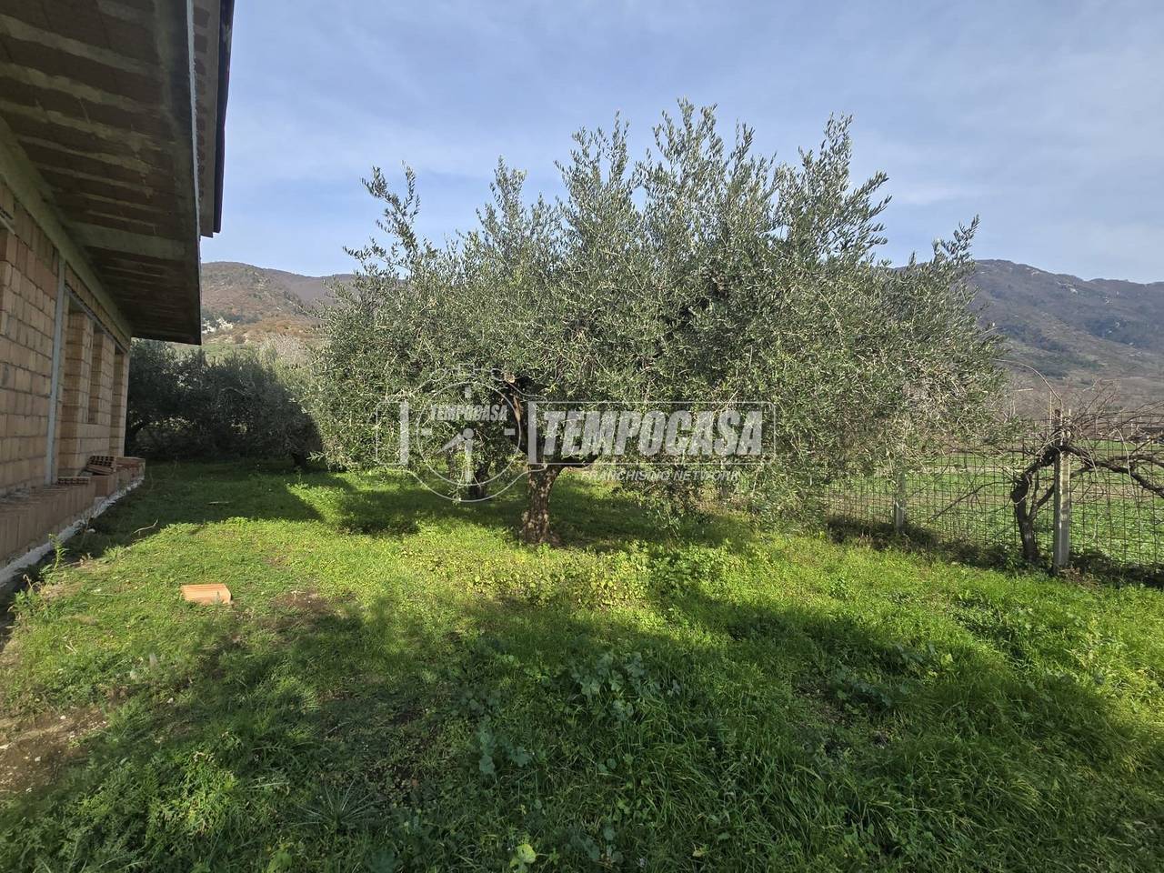 immagine annuncio 4 di 8