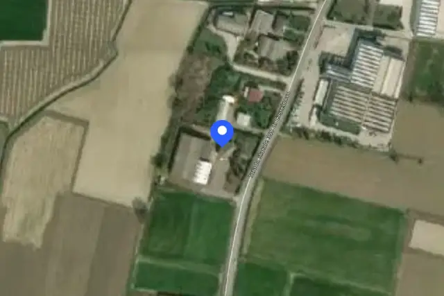 insertion image