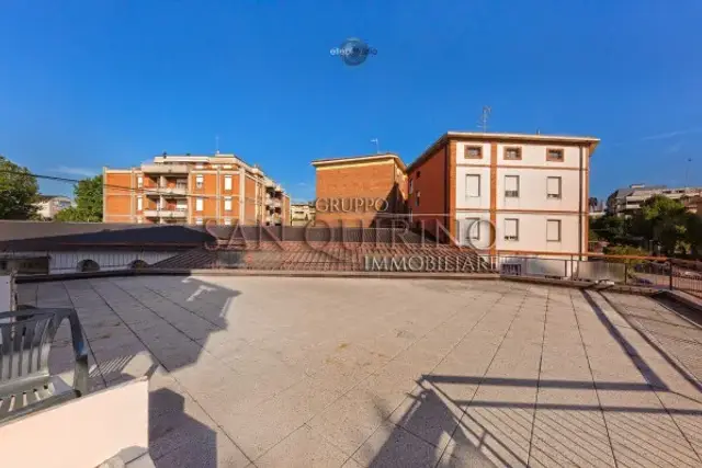 insertion image