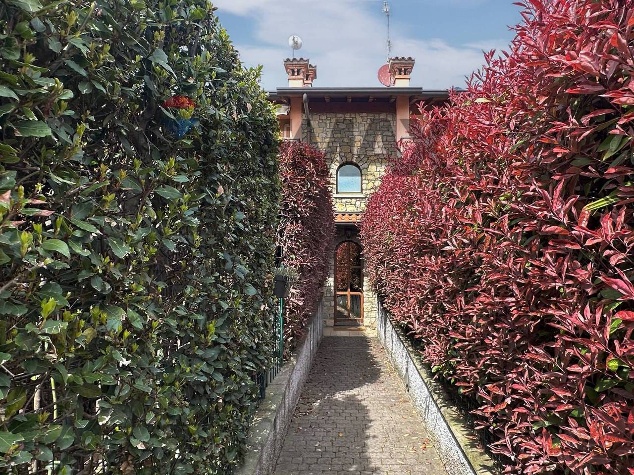 immagine annuncio 7 di 15