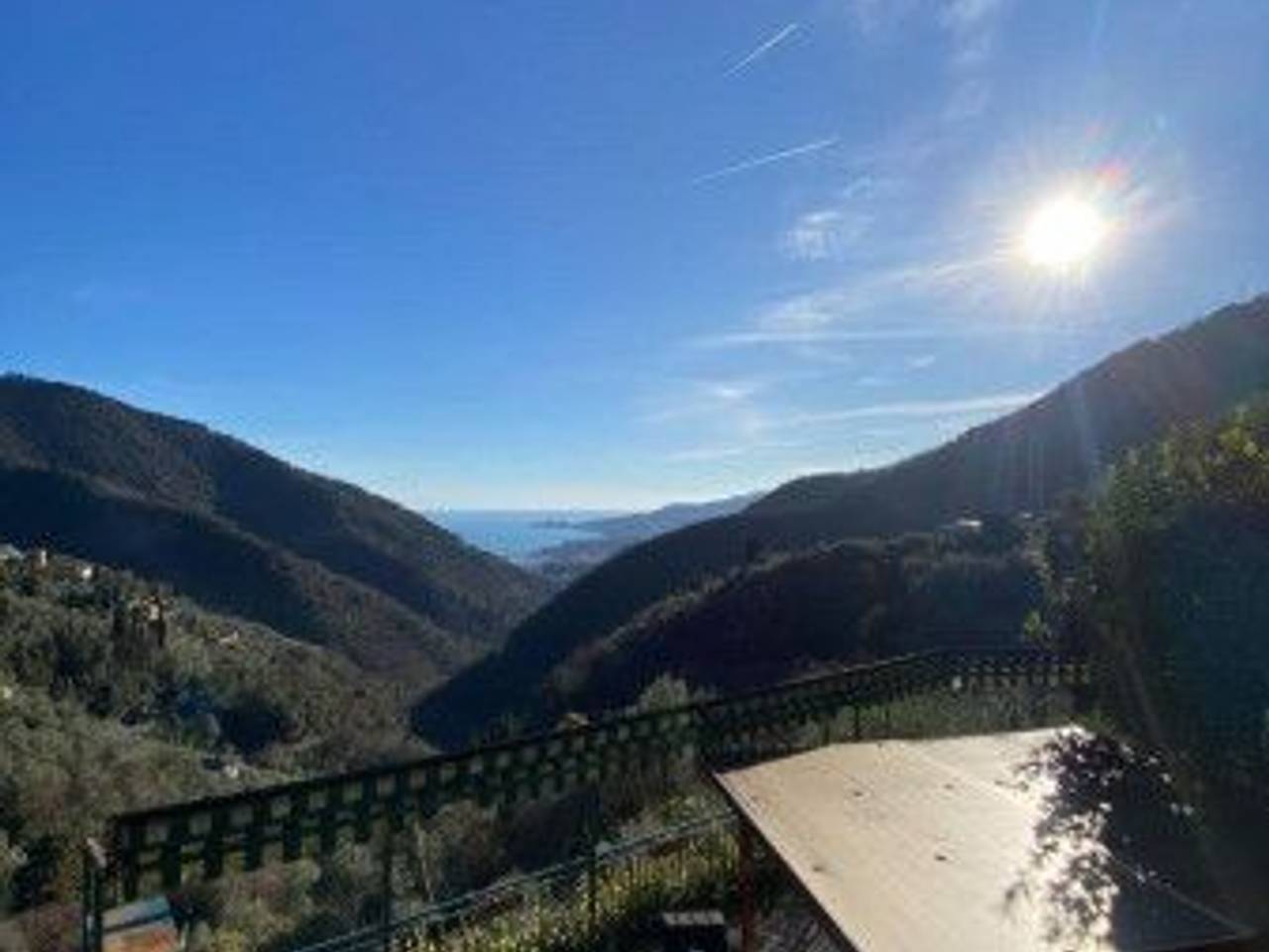 immagine annuncio 12 di 14