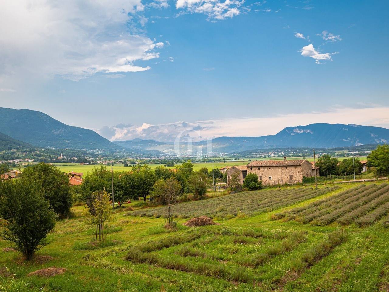 immagine annuncio 7 di 14