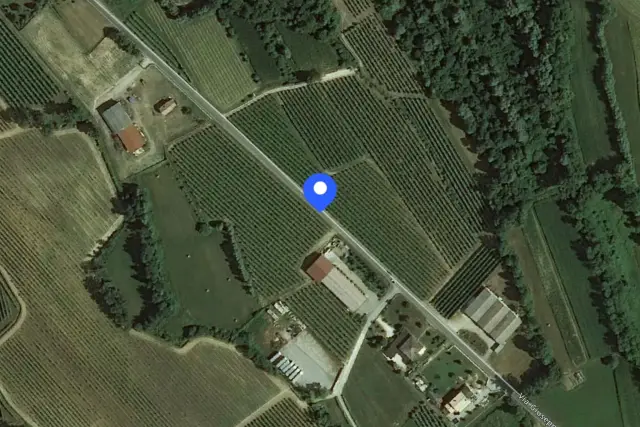 insertion image