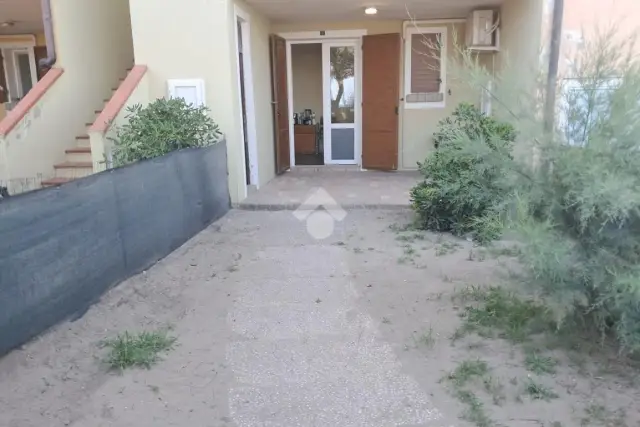 insertion image
