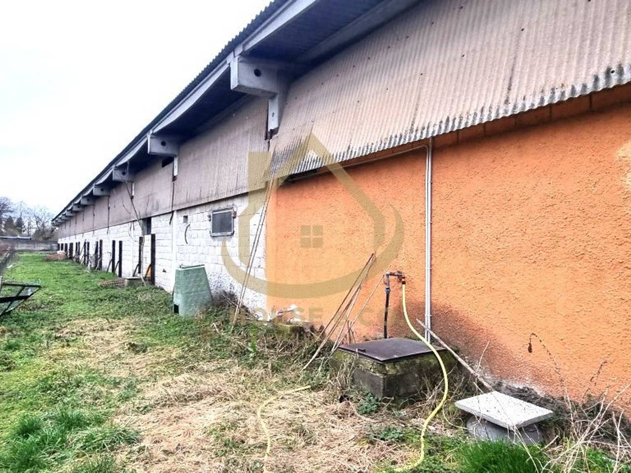 immagine annuncio 6 di 11