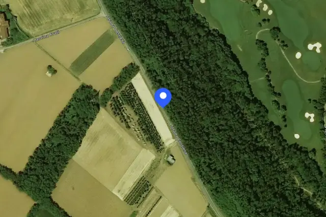 insertion image