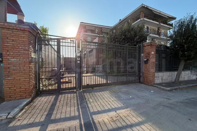 insertion image