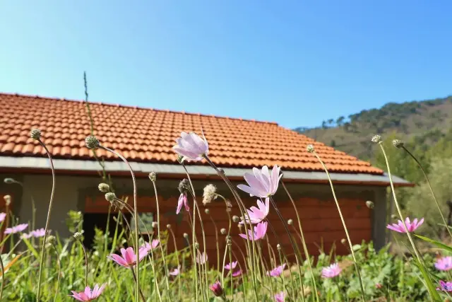 Villa in Strada Colletta, Diano Arentino - Foto 1