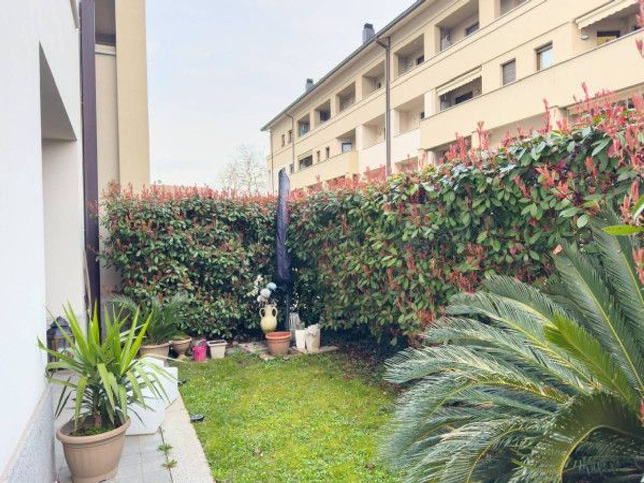 immagine annuncio 9 di 14