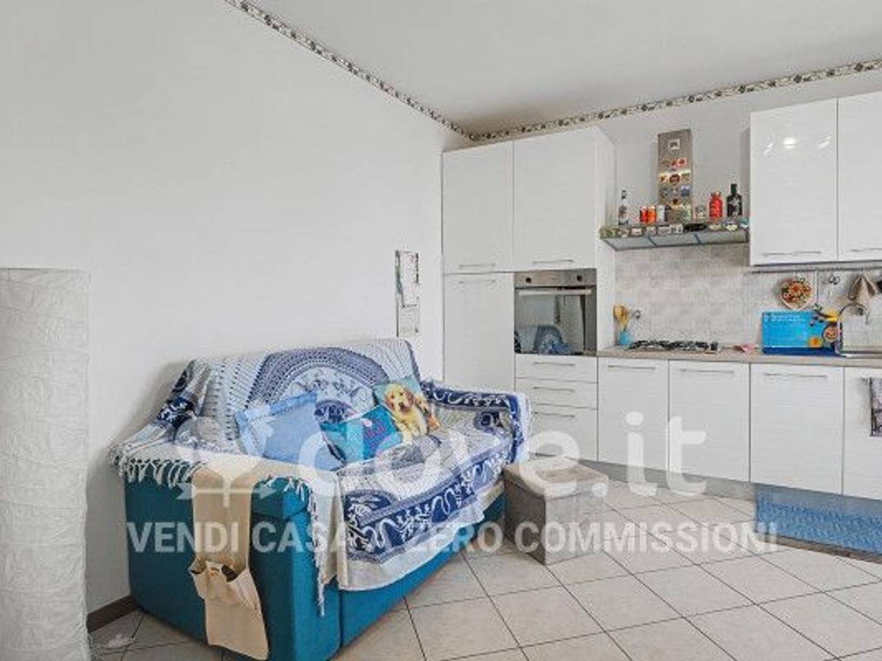 immagine annuncio 3 di 15