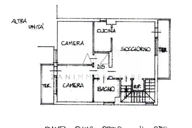 main planimetry real estate image