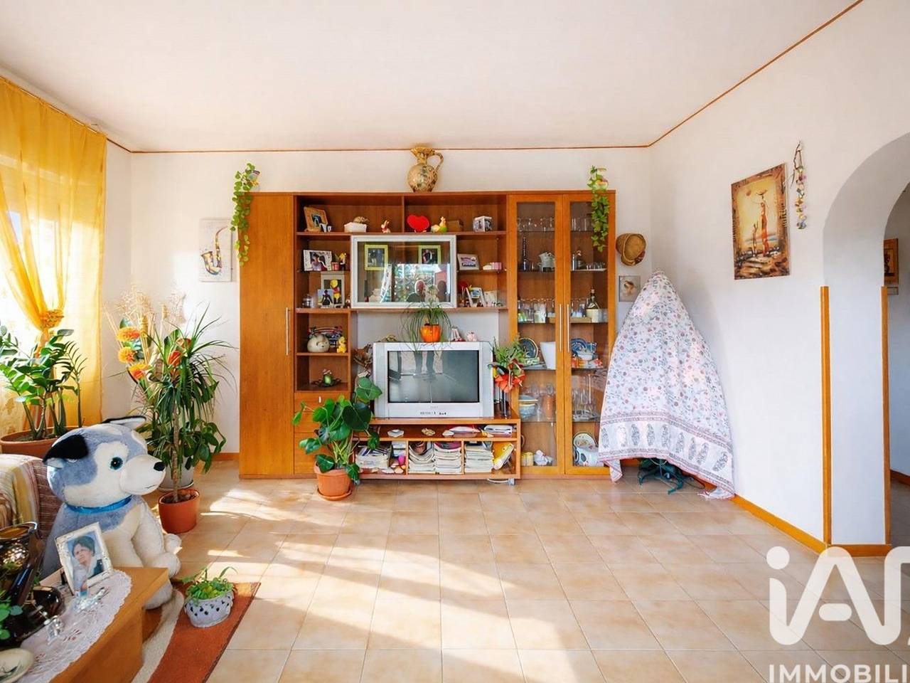 immagine annuncio 7 di 15