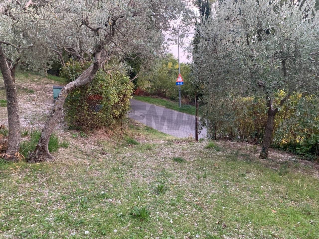 immagine annuncio 8 di 14