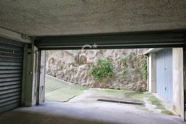 insertion image