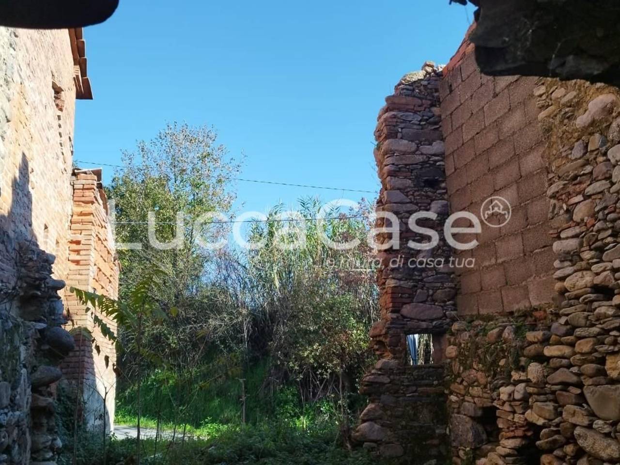 immagine annuncio 7 di 12