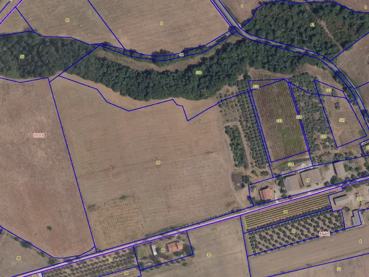 Azienda agricola in , Cinigiano, {3} - Foto 2