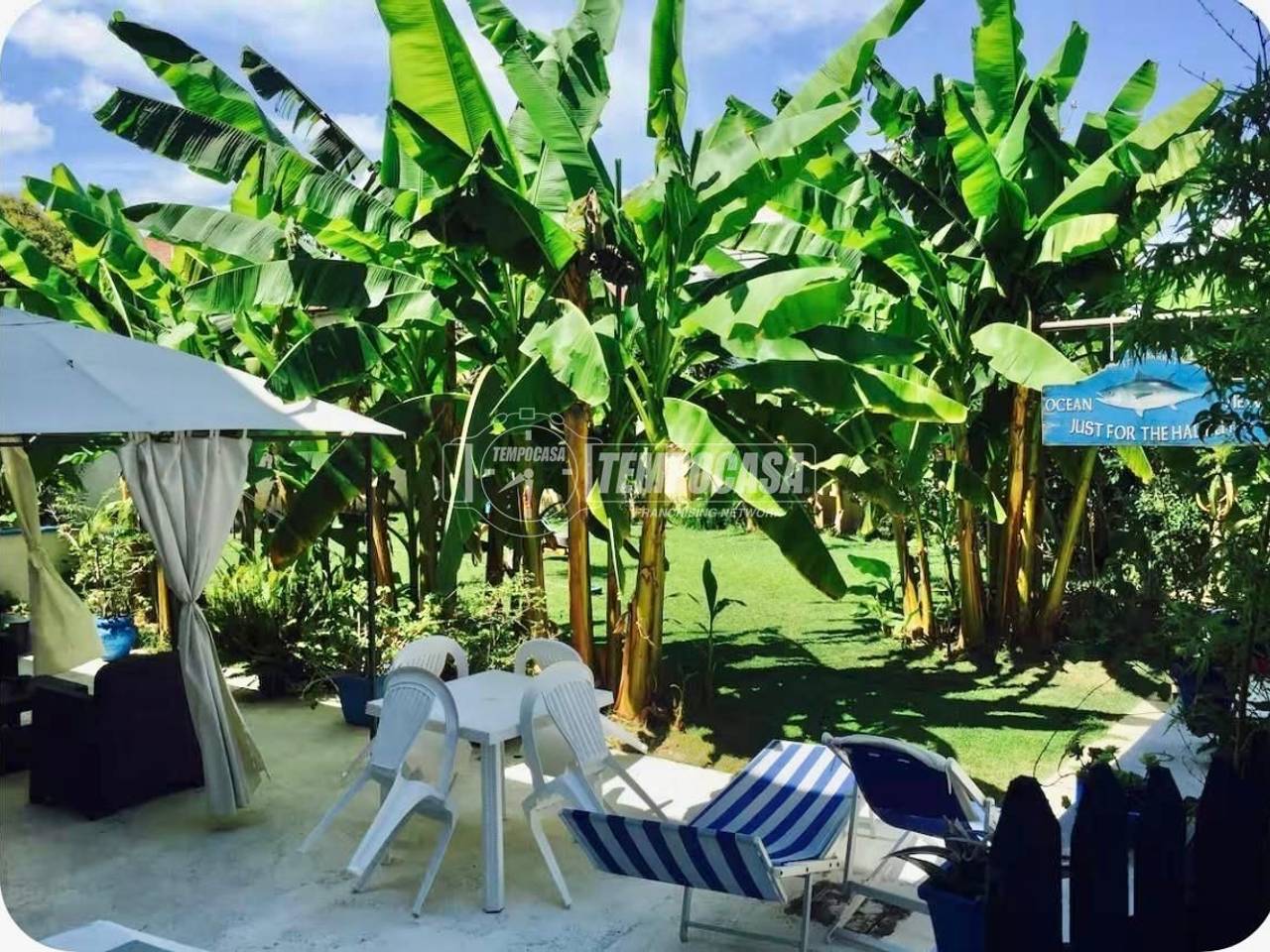 immagine annuncio 3 di 13