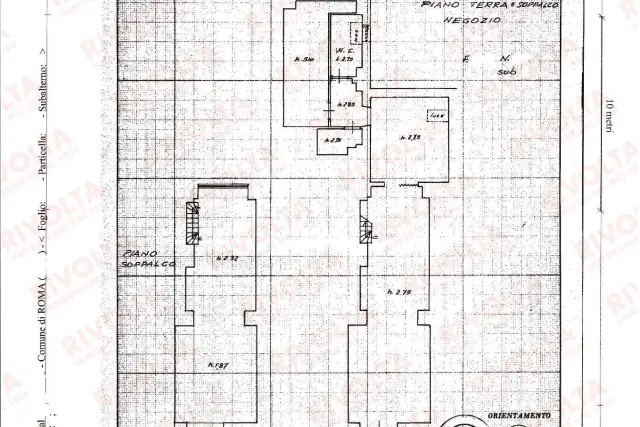 insertion image