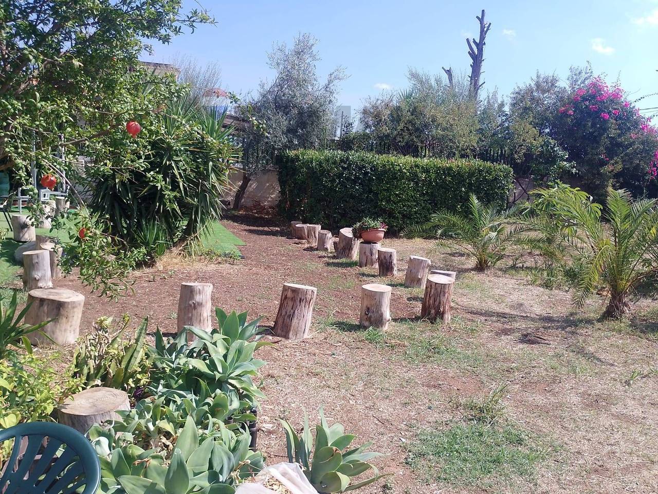 immagine annuncio 9 di 14