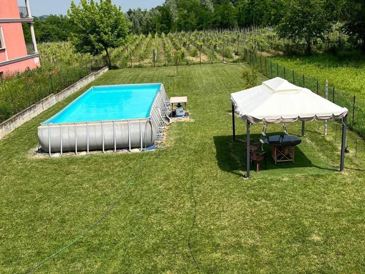 immagine annuncio 2 di 12