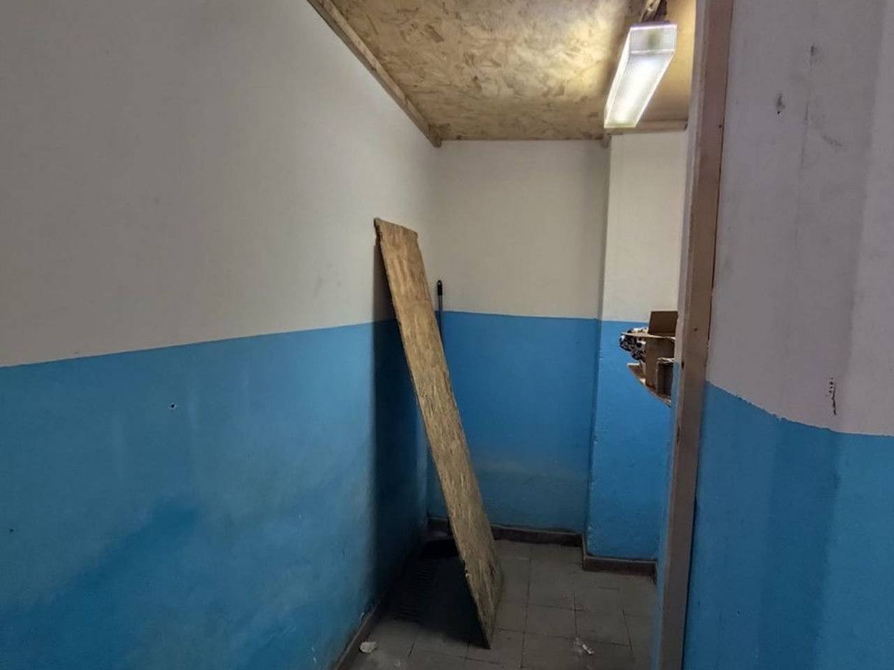 immagine annuncio 11 di 12