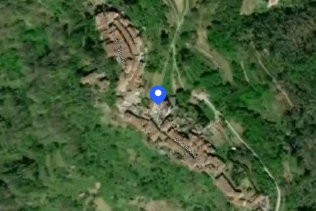 insertion image