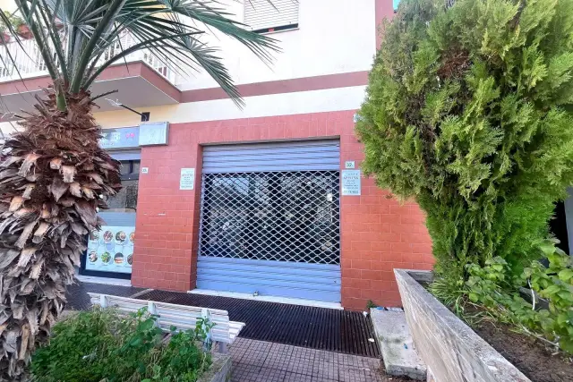 insertion image