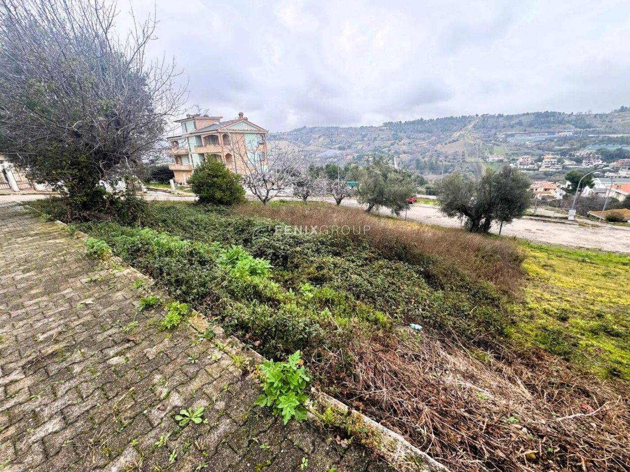 immagine annuncio 3 di 6