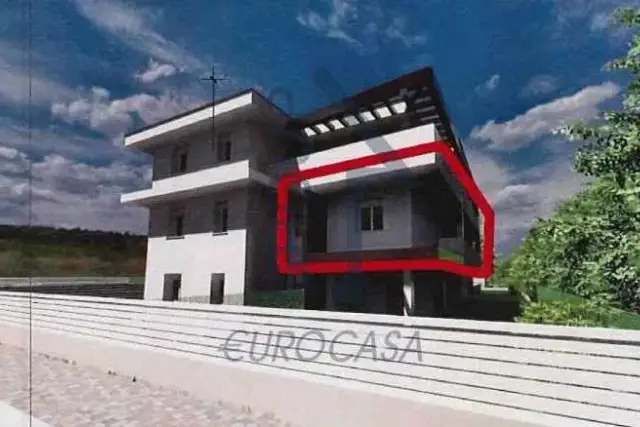 insertion image