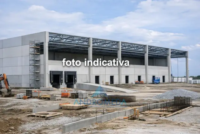 insertion image