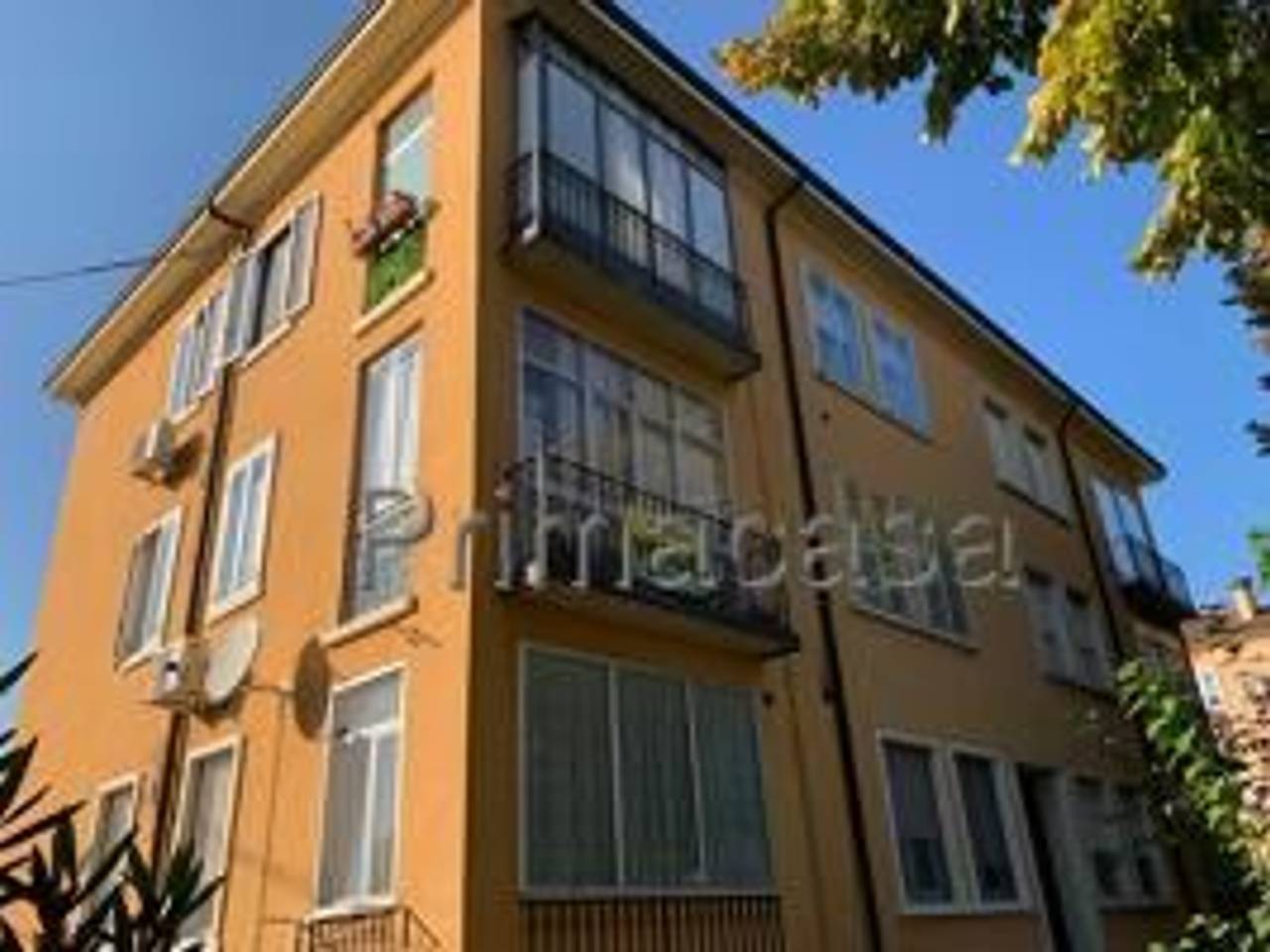 immagine annuncio 5 di 6