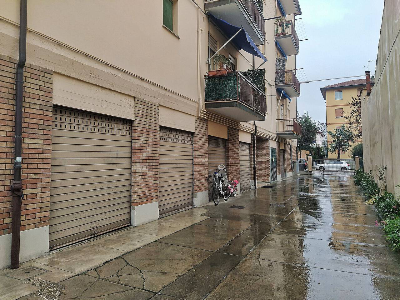 immagine annuncio 11 di 14