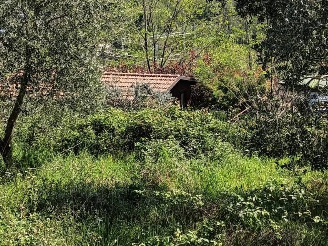 immagine annuncio 7 di 11