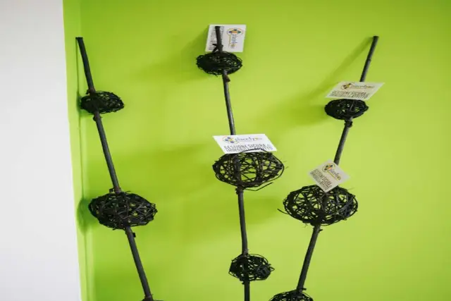 insertion image
