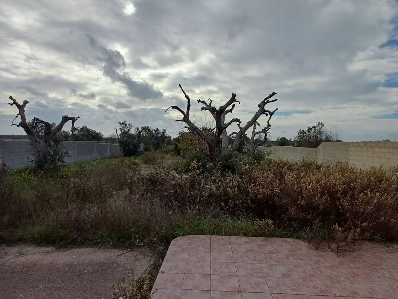 immagine annuncio 8 di 15