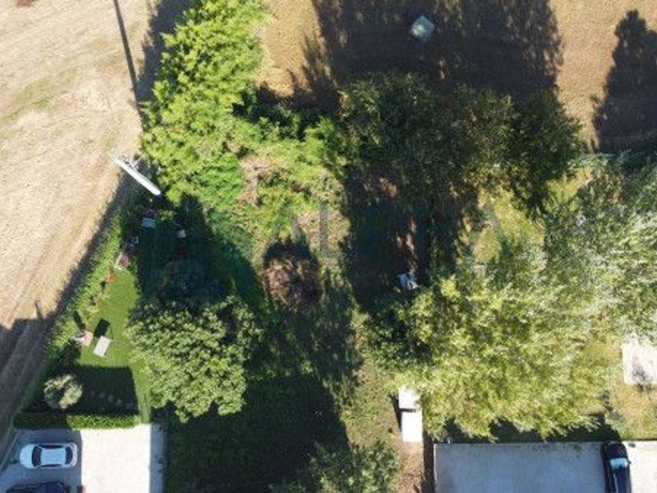 immagine annuncio 4 di 6