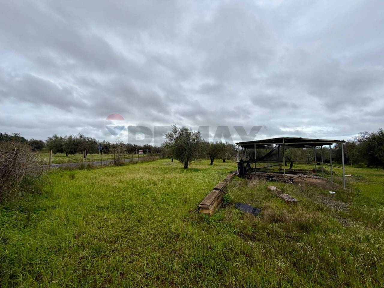 immagine annuncio 4 di 14