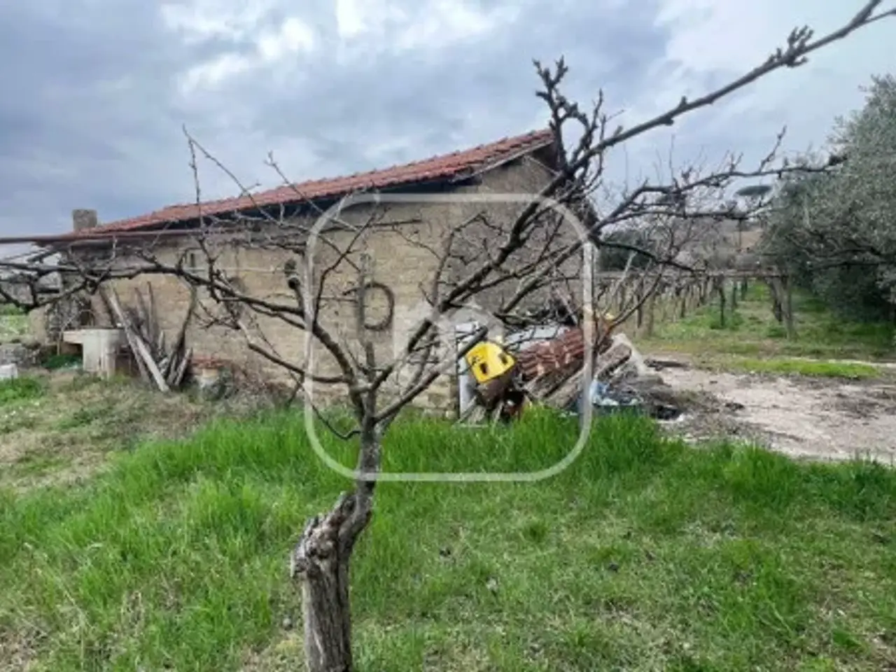 Magazzino in Via Colle Pallavicini, Zagarolo, {3} - Foto 2