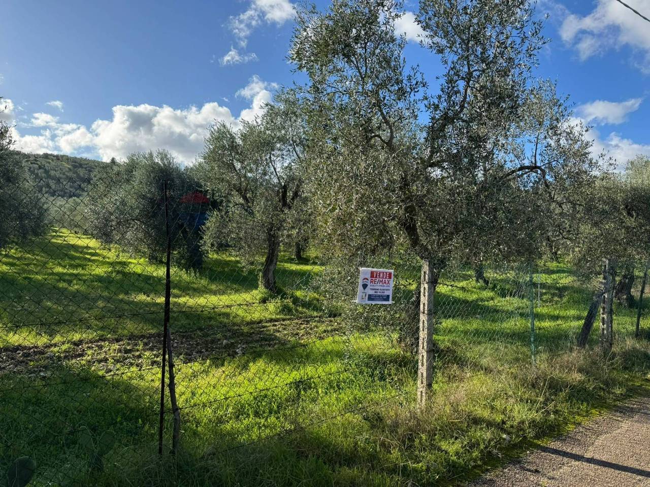 immagine annuncio 8 di 12