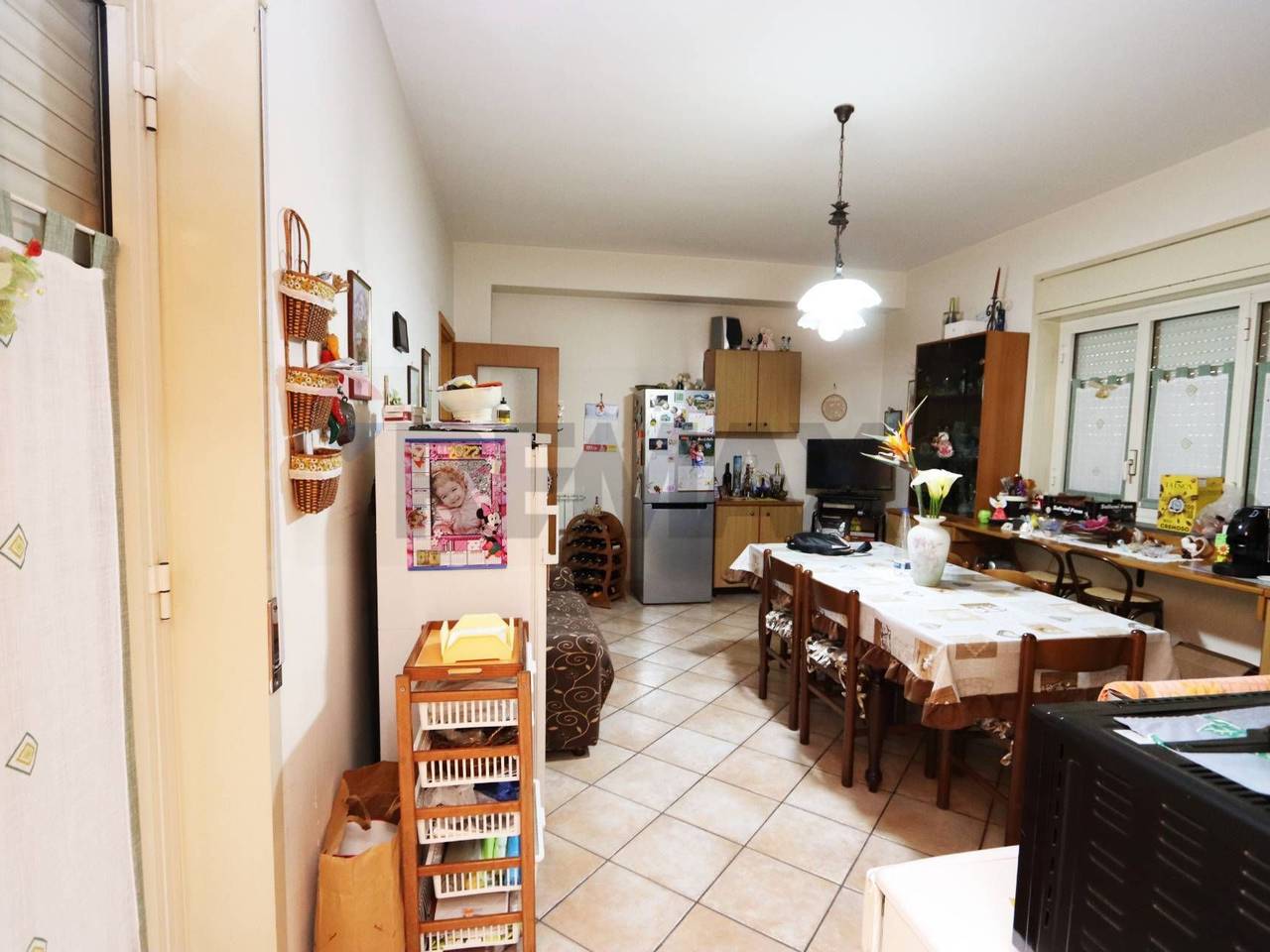 immagine annuncio 11 di 14