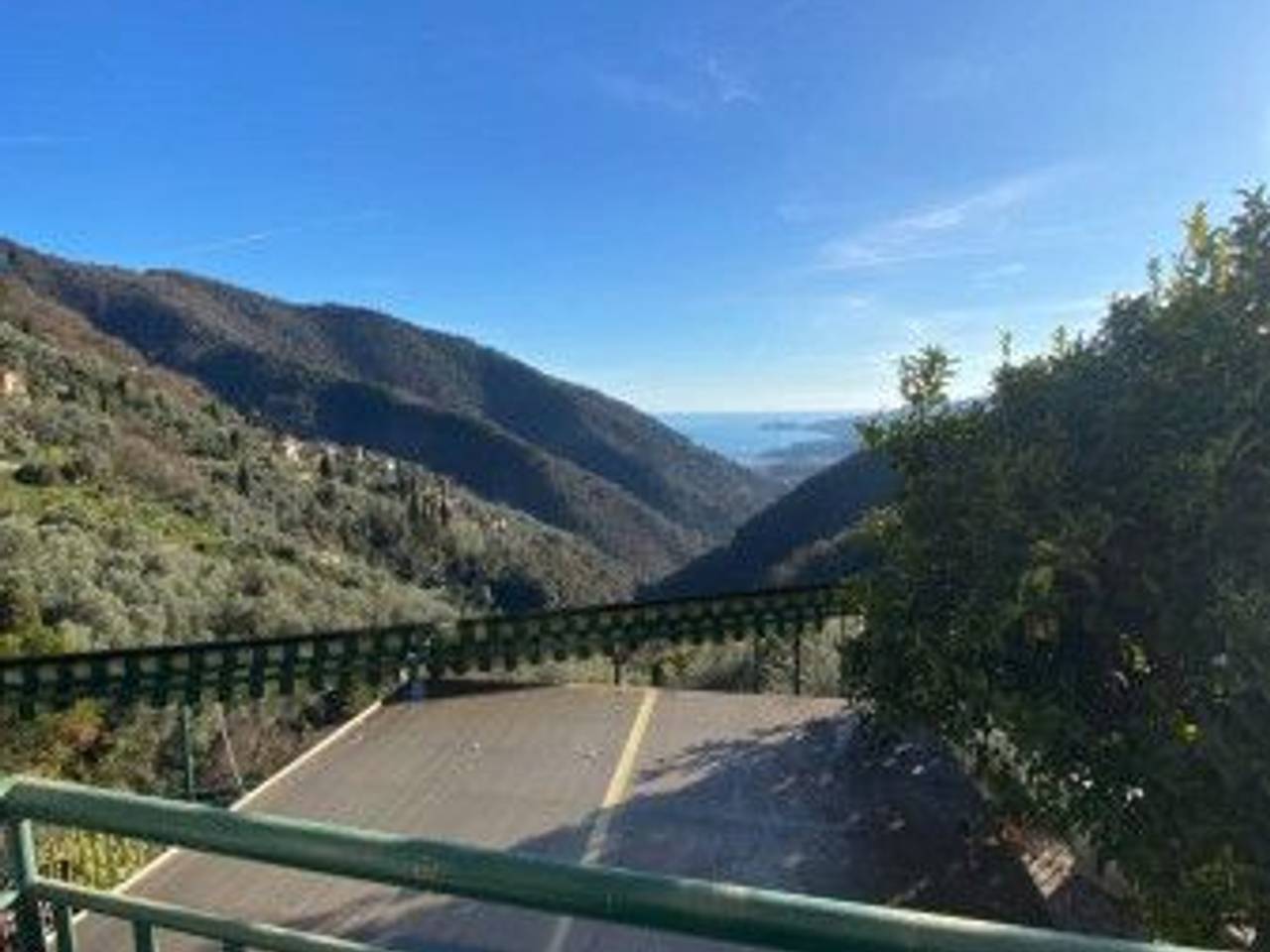 immagine annuncio 9 di 14