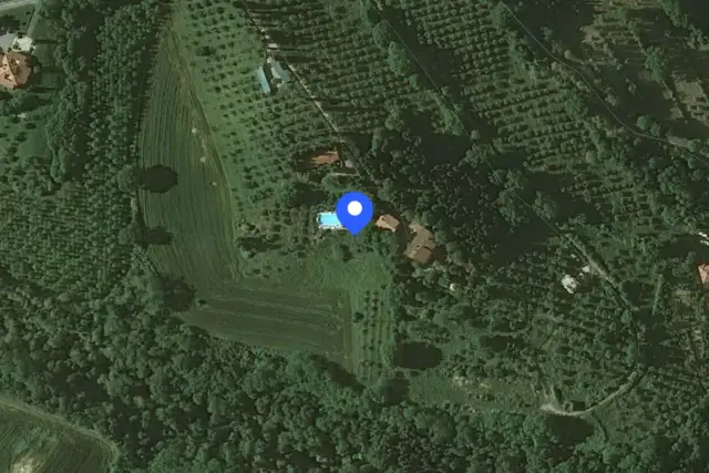 insertion image