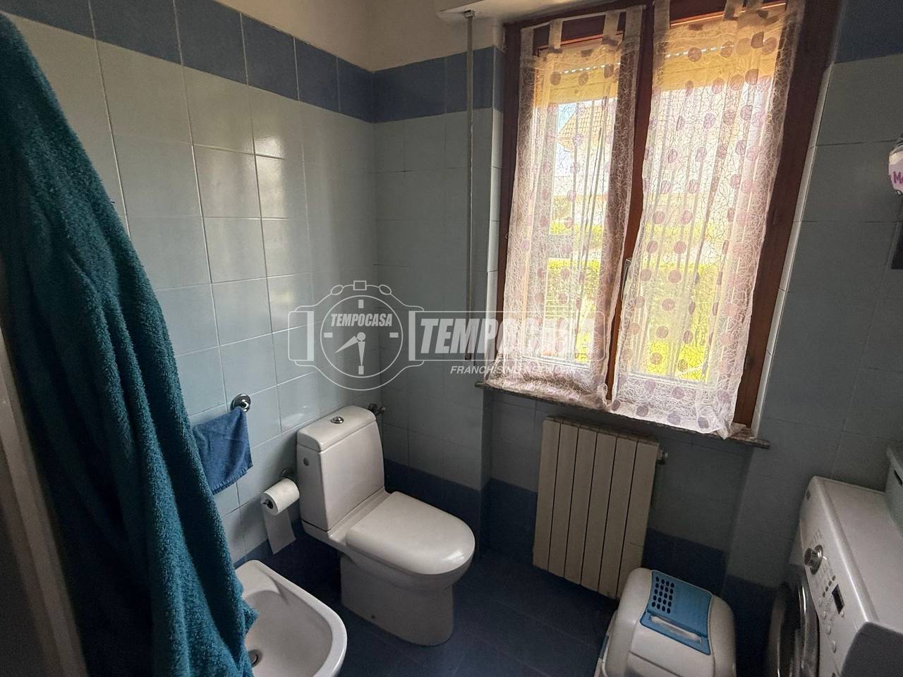 immagine annuncio 9 di 14