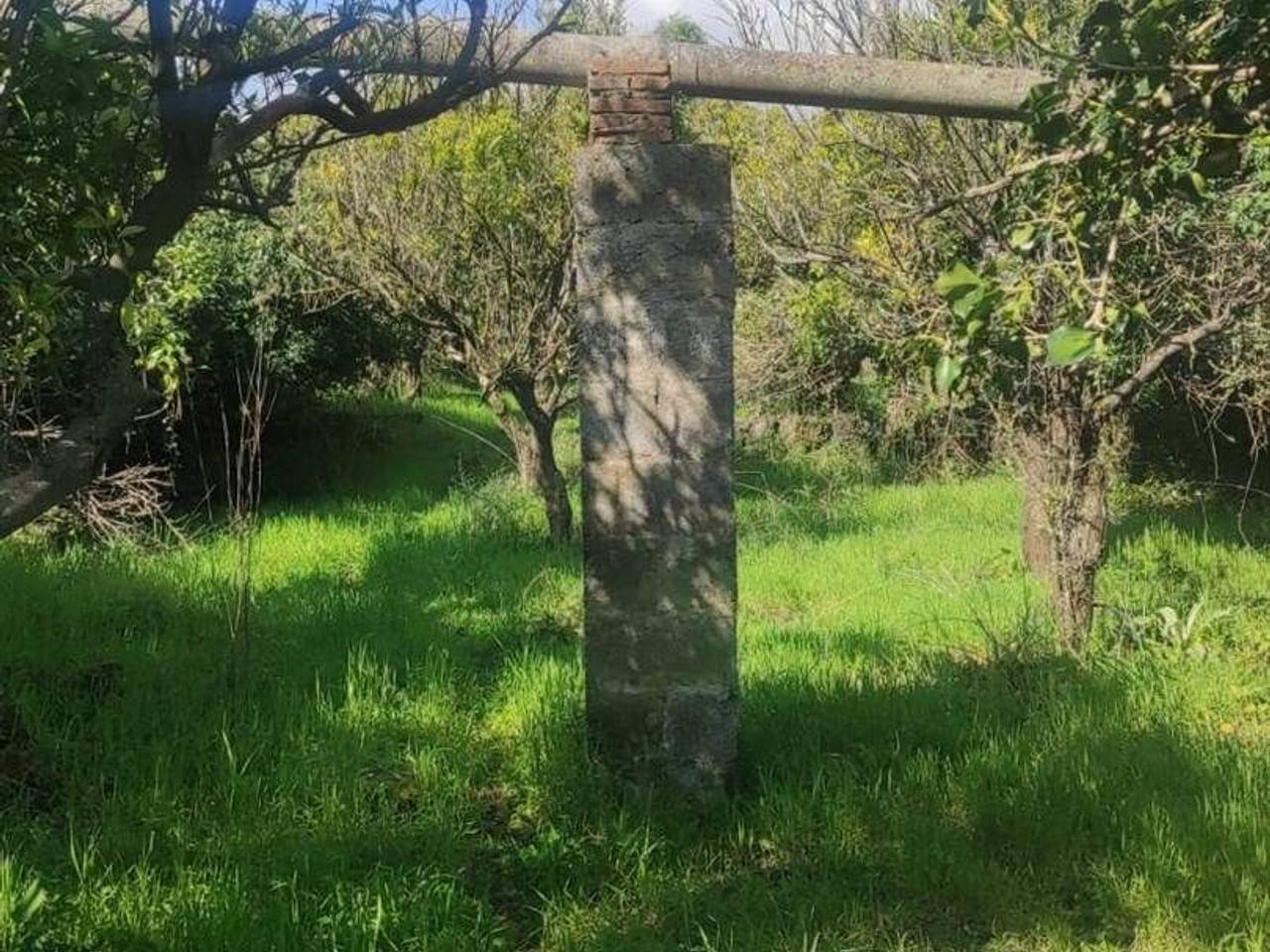 immagine annuncio 7 di 9