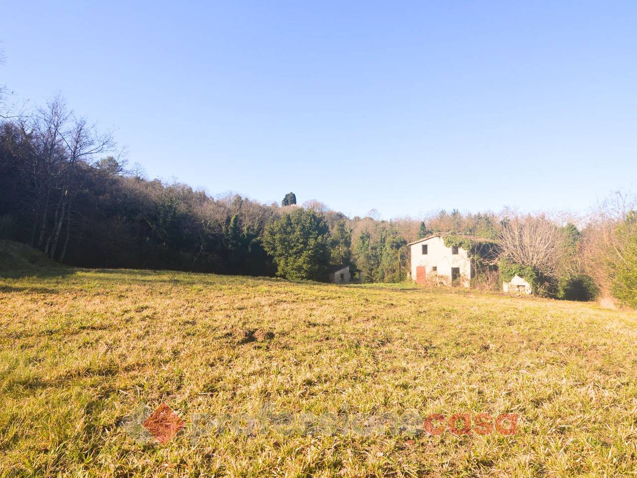 immagine annuncio 3 di 11