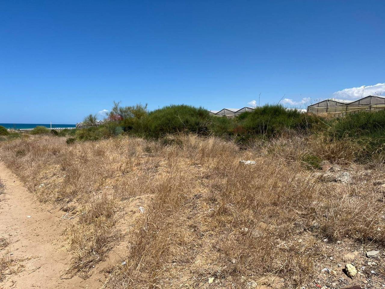 immagine annuncio 1 di 14